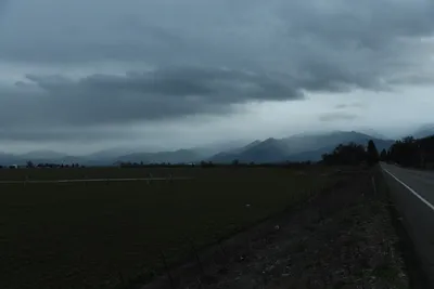 DSC_6746 (Large).JPG